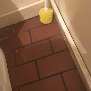 Toilet bowl brush just sitting on the floor next to toilet - women's restroom.