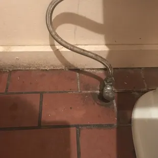 Floor next to toilet in women's bathroom.