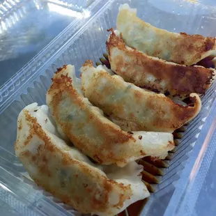 Gyoza