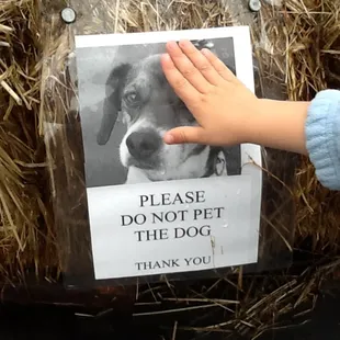 That&apos;s what I told the boy, so he petted the sign instead.