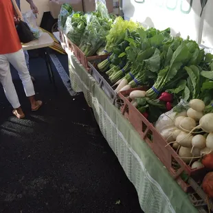 Otsuji Farms