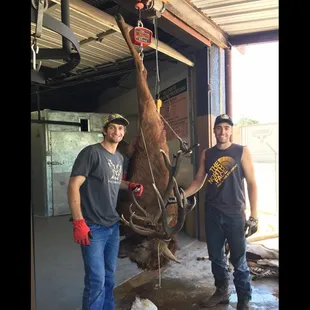 two men standing next to a horse