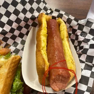 hot dog, hot dogs, food, sandwich