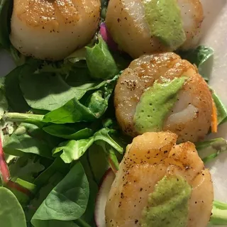 Pan Seared Scallops