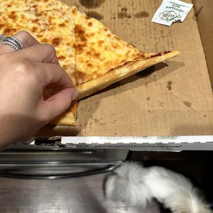 Cheese Pizza