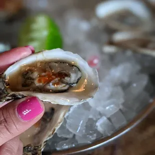 Raw oysters