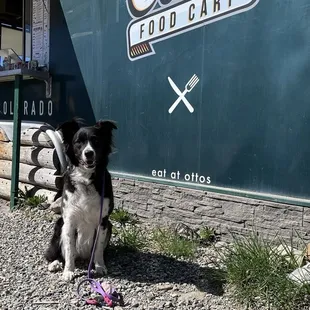 My pup visiting Otto&apos;s!
