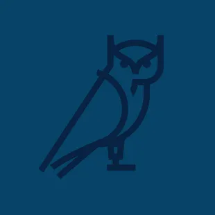 an owl on a blue background