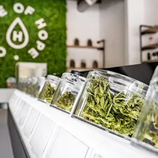 Sensory Bar | Ounce of Hope