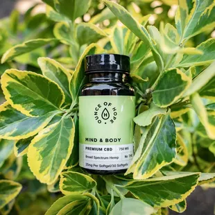 CBD Gel Capsules | Ounce of Hope