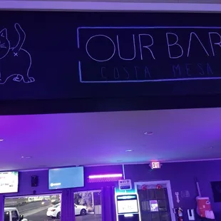 The owner likes kitty cats:)