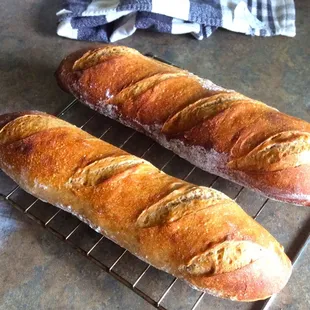 Plain Sourdough Bagels