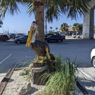 A friendly pelican greets you at the entrance. Cute photo op.