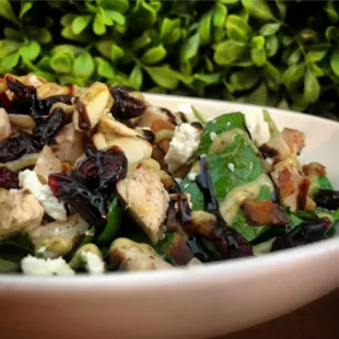 Cranberry Chicken Salad