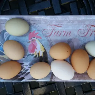 Pasture-raised eggs