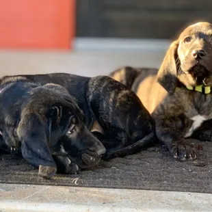 Sisters