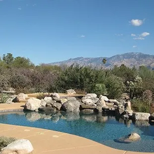 a pool with a cactus in the foreground
