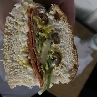 a person holding a sandwich