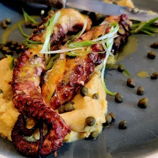 Octopus