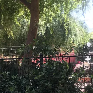 A view of their courtyard. It's so cute.