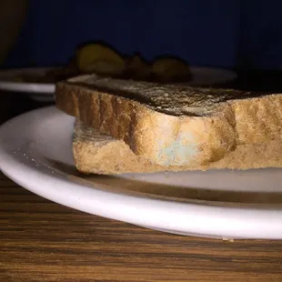 Moldy toast