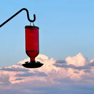 Humming bird feeders surround you as you eat outside.