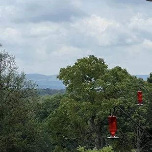 Outside