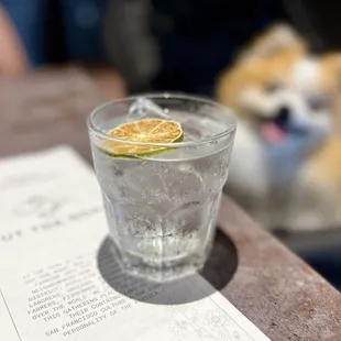 7 Leguas Blanco w/ club soda | $13 (dog-friendly)