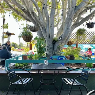 Table by the tree