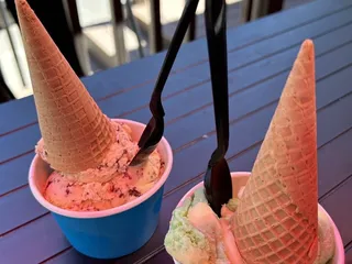 Miller's Landing Resort