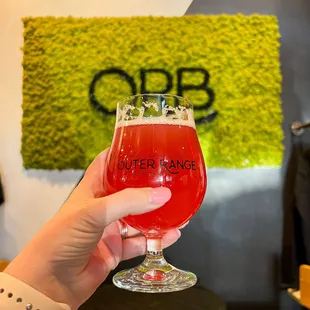 a hand holding a glass of beer