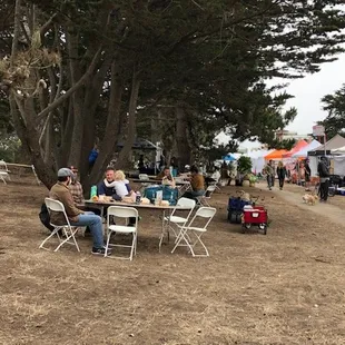 lots of seating under the trees