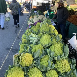 Lovely rainbow of cauliflower from green, purple, white and yellow! They do have unique taste
