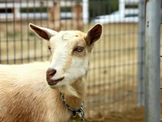 Tombstone Adventures on Horseback