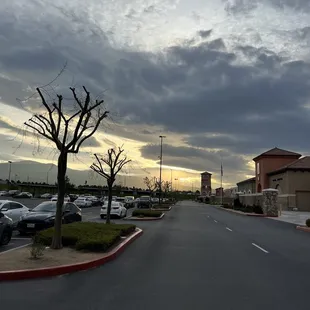 After the rain