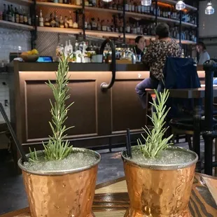 Rosemary Mule