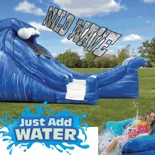 Wild Wave Water Slide