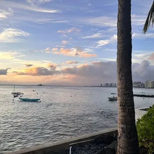 View from the restaurant private room