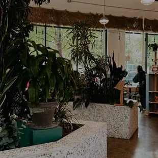 The coffee shop vibes