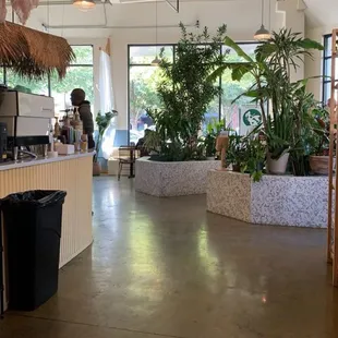 View facing forward from the back of the café