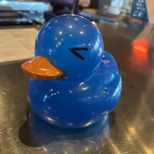 1st duck