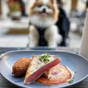 Marmitako: Seared Yellowfin Tuna w/ spicy tomato sauce, potato coquette | $32