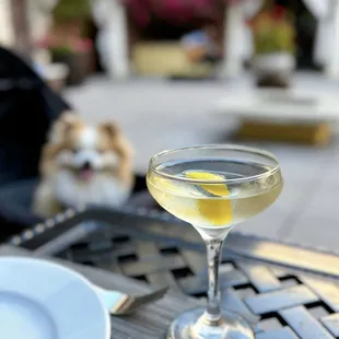 Vesper, Hendrick's | $21