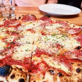 Spicy Salami Special Pizza