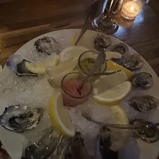 Oysters