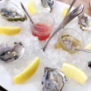 food, oysters and mussels, oysters, shellfish, mussels