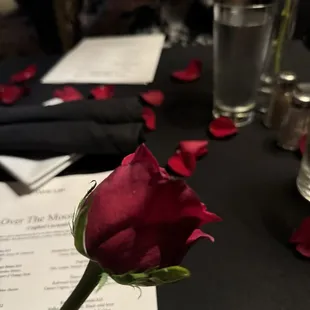 Rose on the table