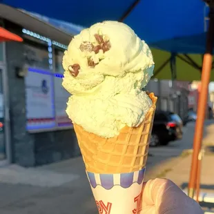 Mint Choc Chip