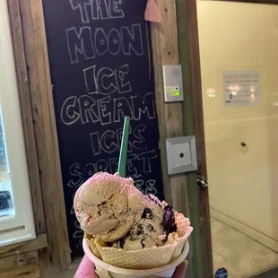 One scoop of Nutella Fudge Crunch and one scoop of Cookies and Cream