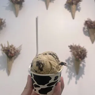 Single scoop: half espresso Oreo and half caramel cookie dough